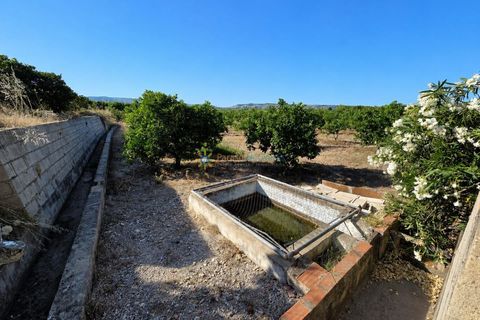 Casa de campo en Cotes, Valencia, Cotes - € 82.000 | Ref: PNVL2184 - photo 13